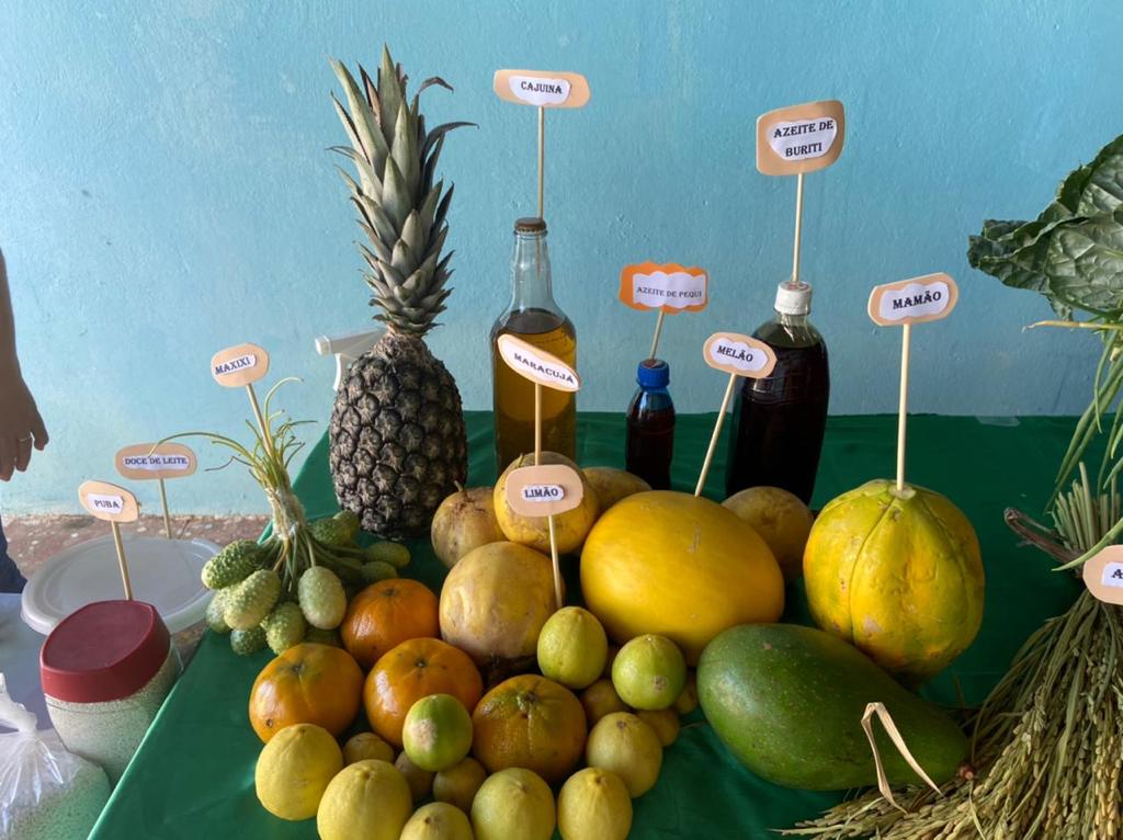 Exposição da “Mesa da Agricultura Familiar” em Manoel Emídio - Imagem 8