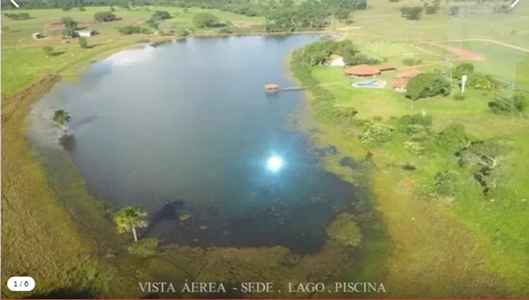 Pistas de pouso,20 mil cabeças de gado:O luxo das fazendas de Amado Batista - imagem 42923