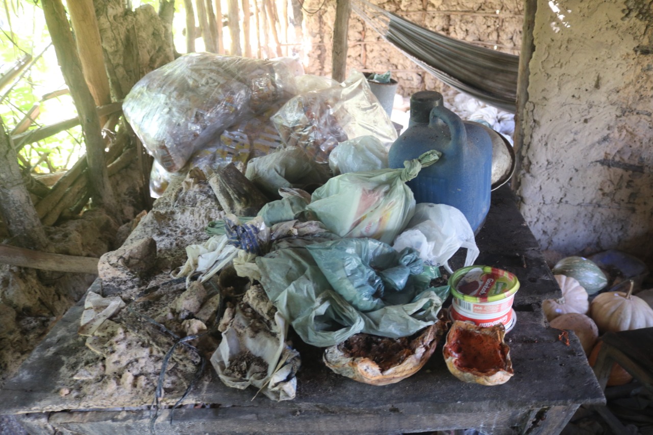 Idoso vive em total estado de vulnerabilidade - Imagem 8