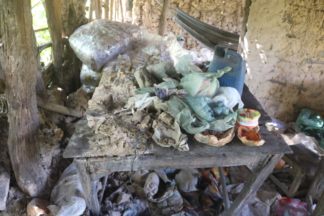 Idoso vive em total estado de vulnerabilidade - Imagem 12