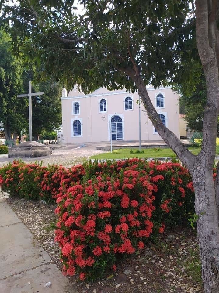 Prefeito João Luiz mantendo sua marca de cidade limpa em Monsenhor Gil