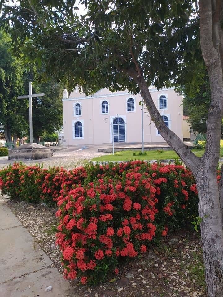 Prefeito João Luiz mantendo sua marca de cidade limpa em Monsenhor Gil
