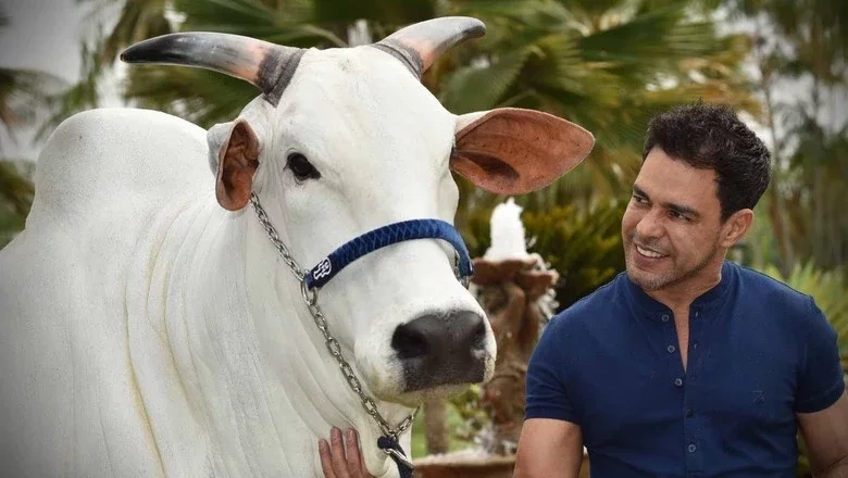 Conheça os cantores sertanejos pecuaristas e suas fazendas milionárias - imagem 43803