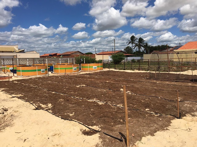 Associação de Luís Correia é beneficiada com quintais agroecológicos - Imagem 2