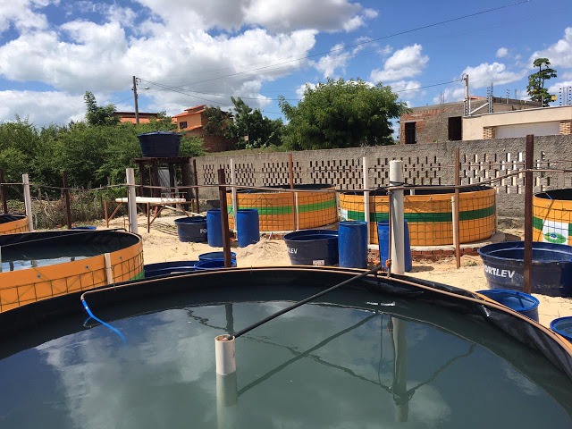 Associação de Luís Correia é beneficiada com quintais agroecológicos - Imagem 3