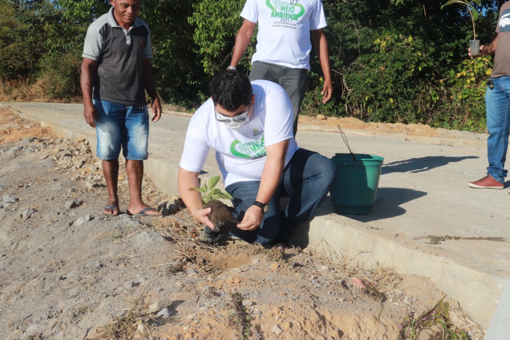 Orla da Lagoa da Baixa é arborizada através de projeto do Meio Ambiente - Imagem 1