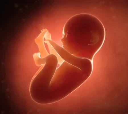 Famosas que assumiram ter feito aborto para interromper gravidez