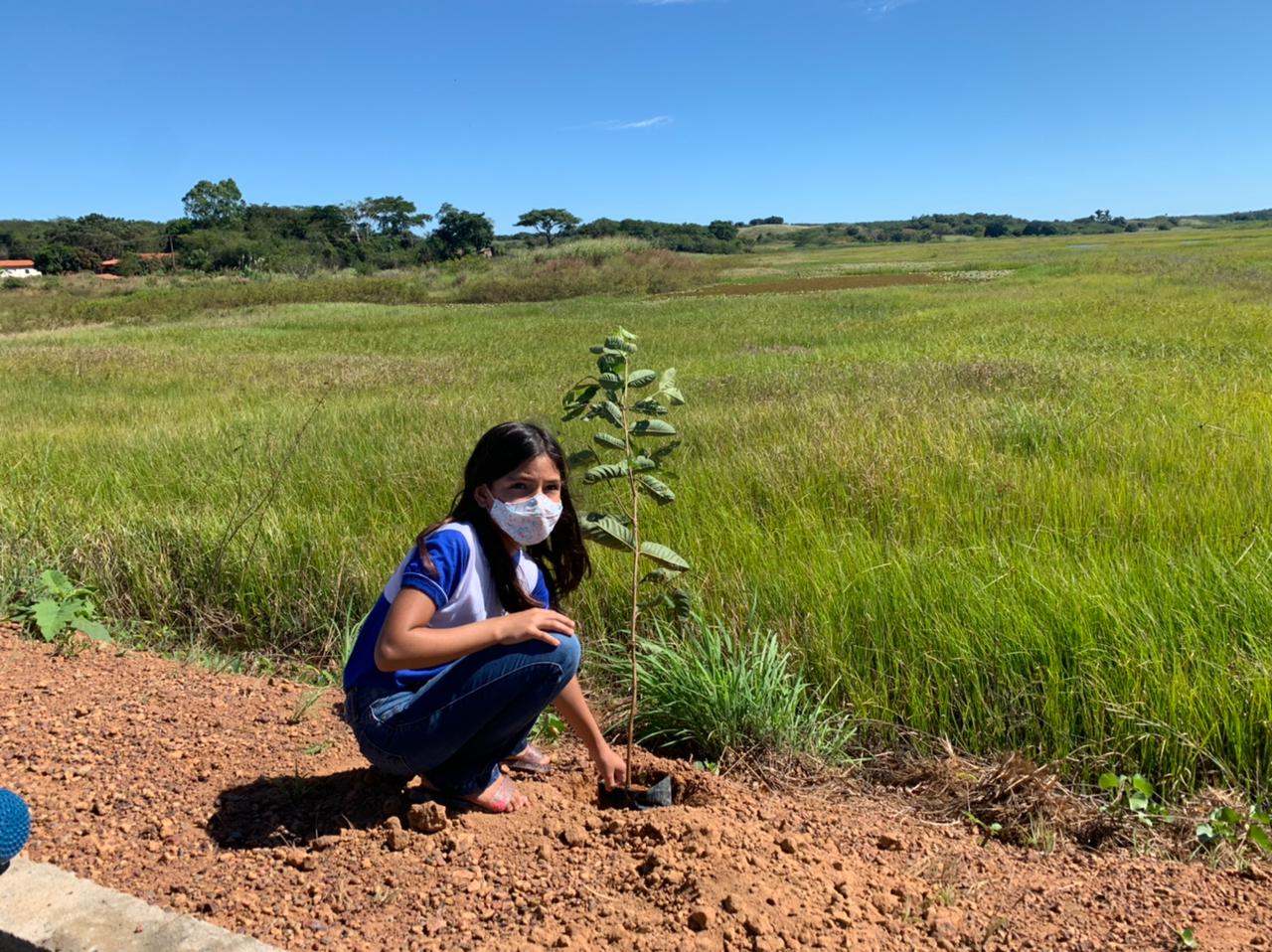 Prefeito Luciano participa de  ação ambiental em Hugo Napoleão - Imagem 4