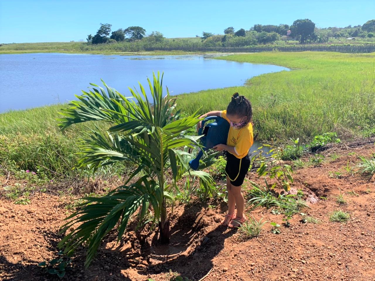 Confira como foi a semana do Meio Ambiente em Hugo Napoleão  - Imagem 4