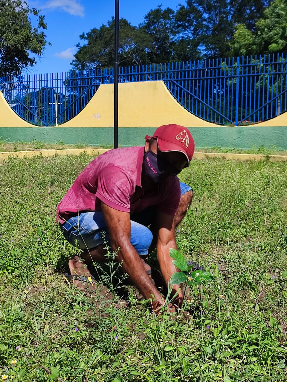 Dia do Meio Ambiente é lembrado em Lagoinha com Plantação de Mudas árvores - Imagem 3