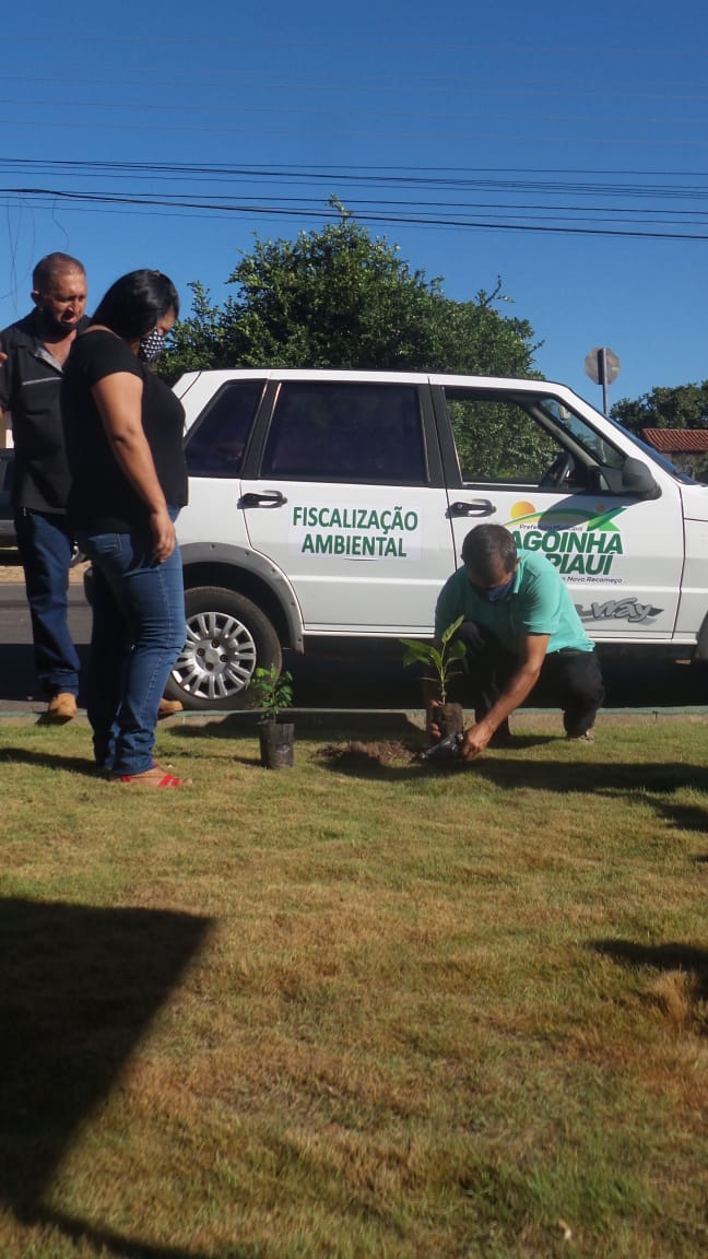 Dia do Meio Ambiente é lembrado em Lagoinha com Plantação de Mudas árvores - Imagem 6