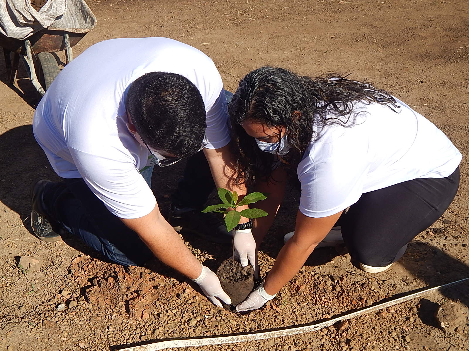 Dia Mundial do Meio Ambiente é lembrado em Agricolândia em Escolas - Imagem 2