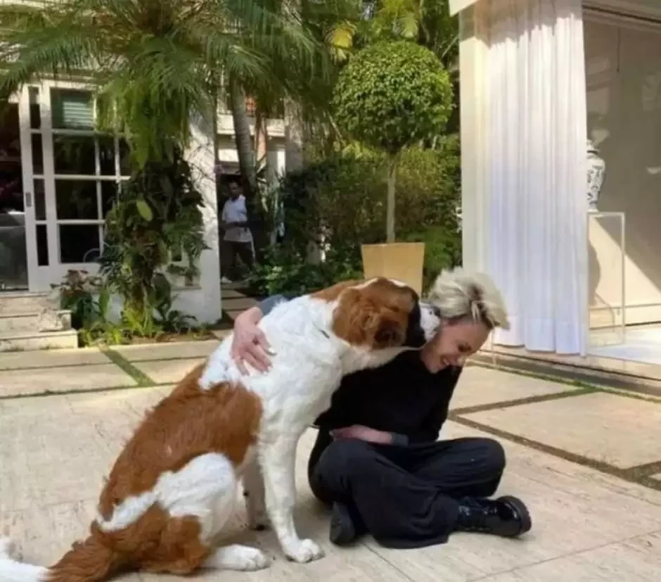 Fofura: conheça o pet dos famosos que fazem sucesso nas redes sociais - imagem 45053