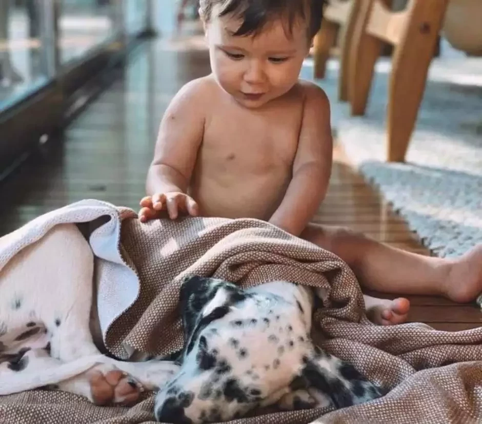 Fofura: conheça o pet dos famosos que fazem sucesso nas redes sociais - imagem 45055