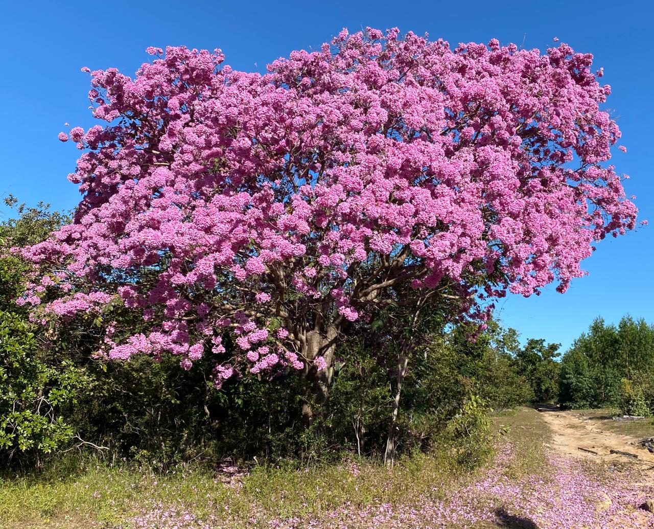 Um domingo sobre Bike em Monsenhor Gil com destino ao Poço Azul - Imagem 5