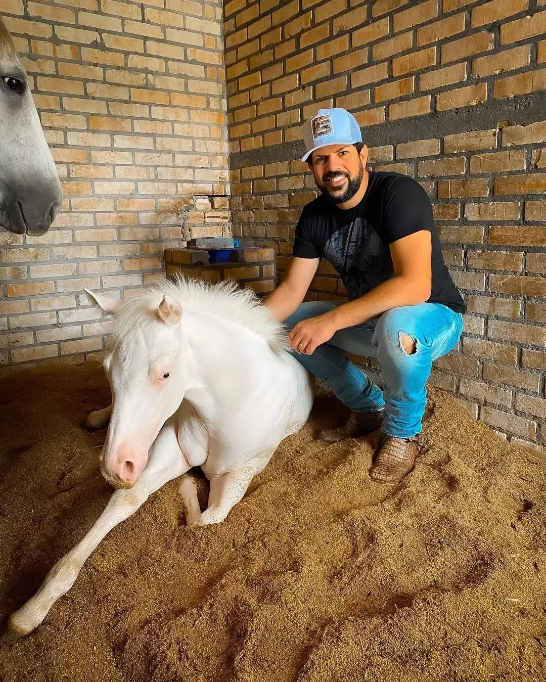 Conheça o rancho milionário do cantor Sorocaba; o maior de Quarto de Milha - imagem 45416