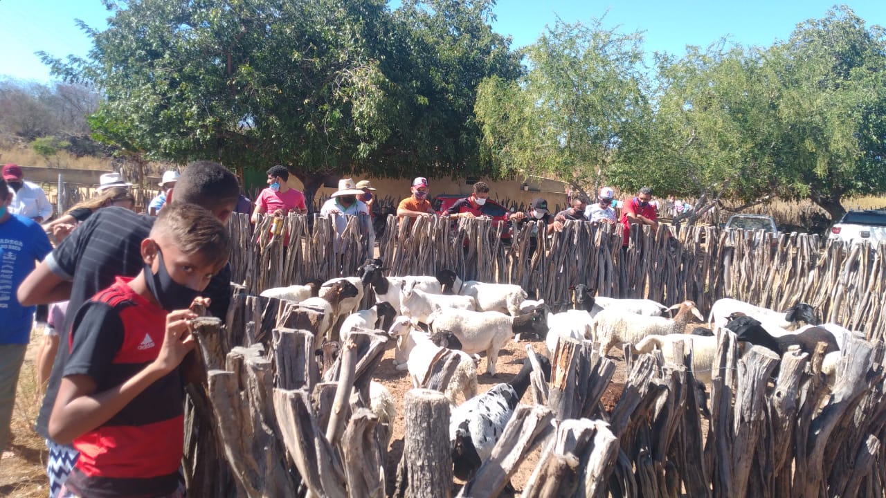 Prefeitura de Itainópolis e SEBRAE realizam consultoria em Zona Rural - Imagem 5