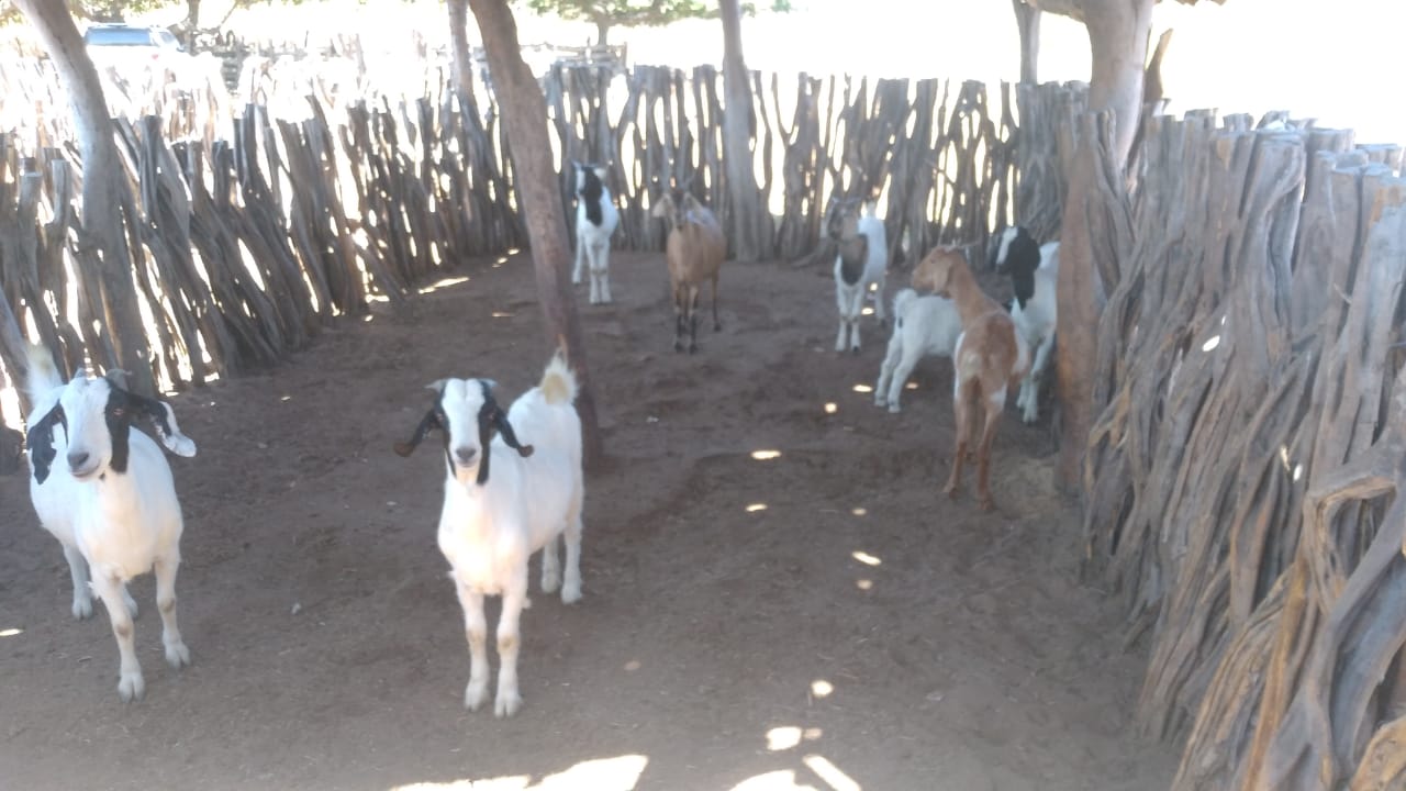 Prefeitura de Itainópolis e SEBRAE realizam consultoria em Zona Rural - Imagem 7