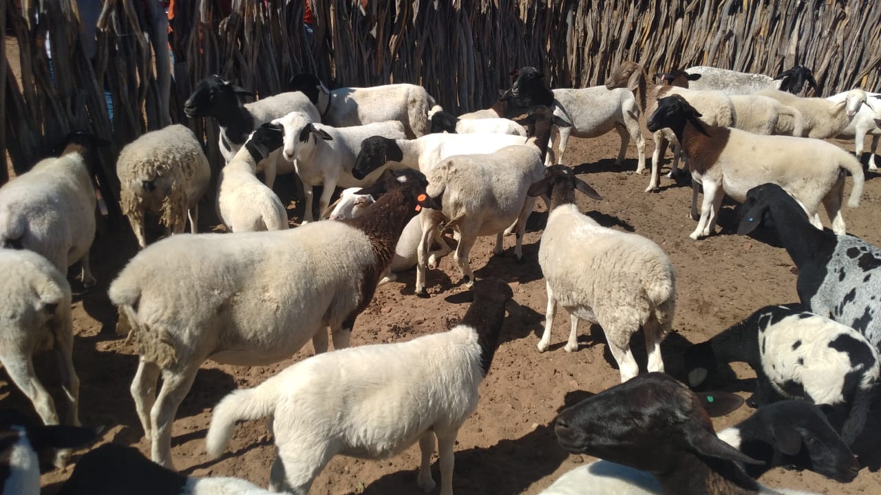 Prefeitura de Itainópolis e SEBRAE realizam consultoria em Zona Rural - Imagem 6