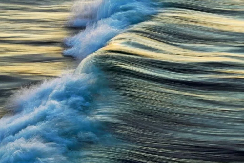 Conheça os vencedores do Prêmio de fotografia da vida natural  - imagem 45722