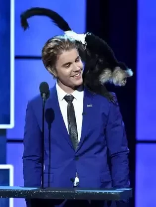 Justin Bieber e seu macaco de estimação 