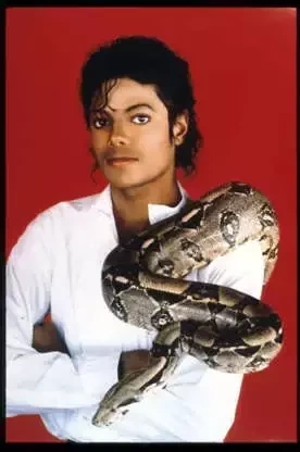 Michael Jackson e sua cobra de estimação 