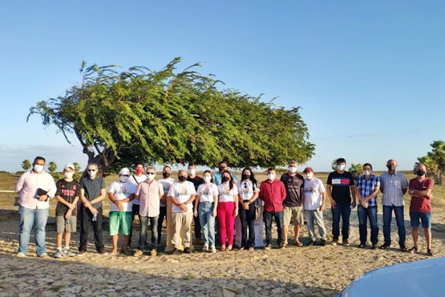  Ponto turístico Árvore Penteada será reformado e ampliado em Luís Correia - Imagem 1