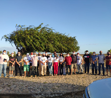  Ponto turístico Árvore Penteada será reformado e ampliado em Luís Correia