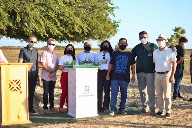   Ponto turístico Árvore Penteada será reformado e ampliado em Luís Correia - Imagem 3