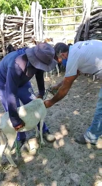 Prefeitura Municipal de Monsenhor Gil atuando ao lado do homem do Campo - Imagem 5