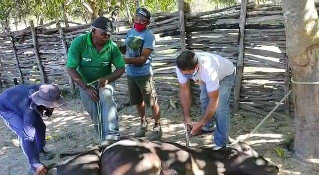 Prefeitura Municipal de Monsenhor Gil atuando ao lado do homem do Campo - Imagem 1