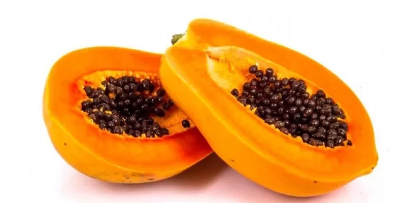 Dia do Orgasmo: 6 alimentos que ajudam a aumentar o prazer sexual - imagem 46575