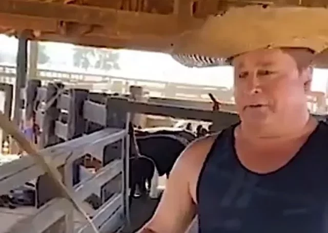 Sertanejo Leonardo abre fazenda de R$ 53 milhões e exalta gado angus;fotos! - imagem 44660