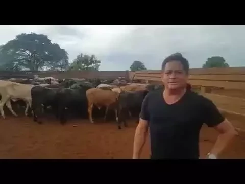 Sertanejo Leonardo abre fazenda de R$ 53 milhões e exalta gado angus;fotos! - imagem 44662