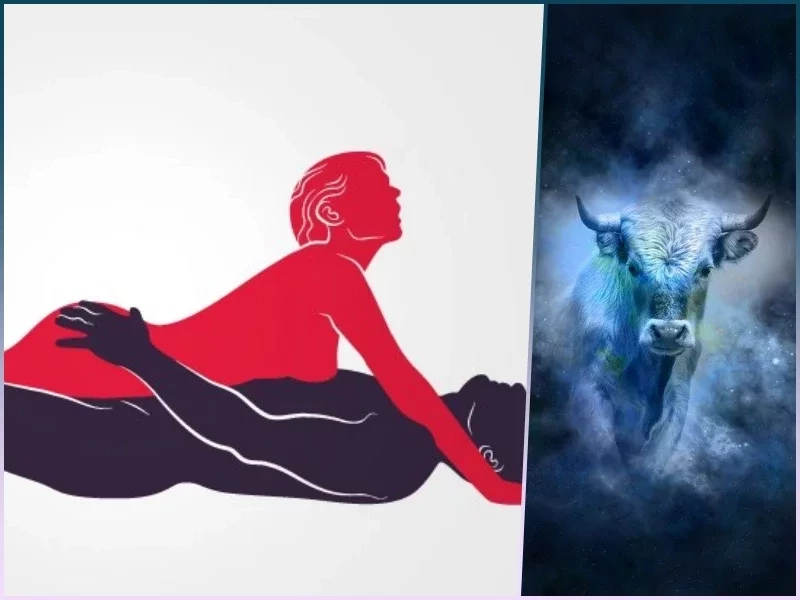 Posição sexual de Touro
