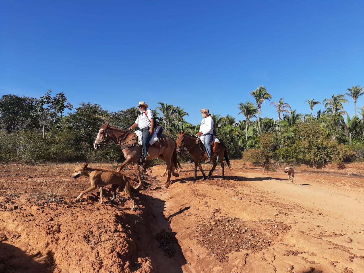 Romaria sai de Monsenhor Gil para Santa Cruz dos Milagres a pé - Imagem 15
