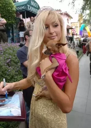  Paris Hilton