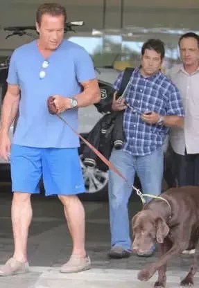 Arnold Schwarzenegger