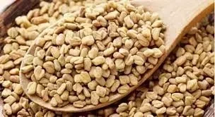 Conheça 04 remédios caseiros que aumentam o apetite sexual - imagem 49305