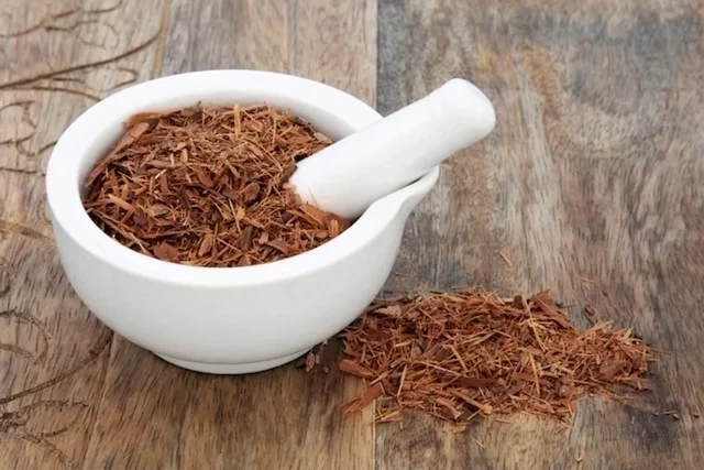 Conheça 04 remédios caseiros que aumentam o apetite sexual - imagem 49303