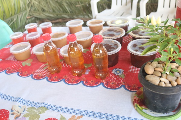 III Feira da Agricultura Familiar de N. S. dos Remédios rendeu R$176 mil   - Imagem 13