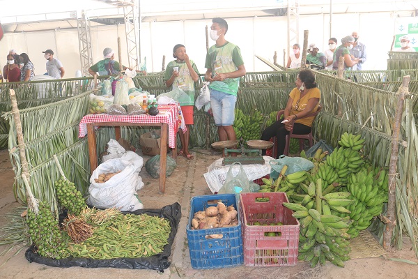 III Feira da Agricultura Familiar de N. S. dos Remédios rendeu R$176 mil   - Imagem 9
