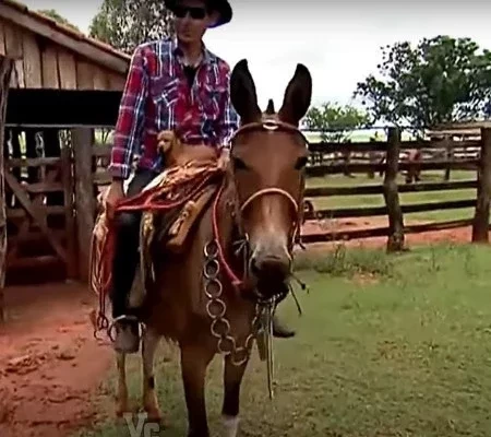 Ex-pedreiro, ganhador da Mega-Sena compra fazenda milionária. Fotos!