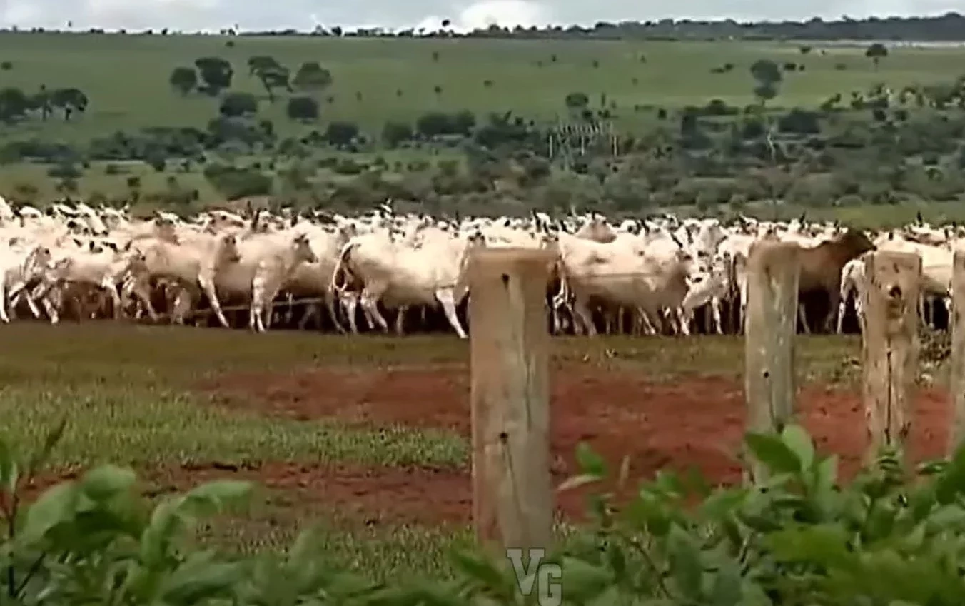 Ex-pedreiro, ganhador da Mega-Sena compra fazenda milionária. Fotos! - imagem 47548