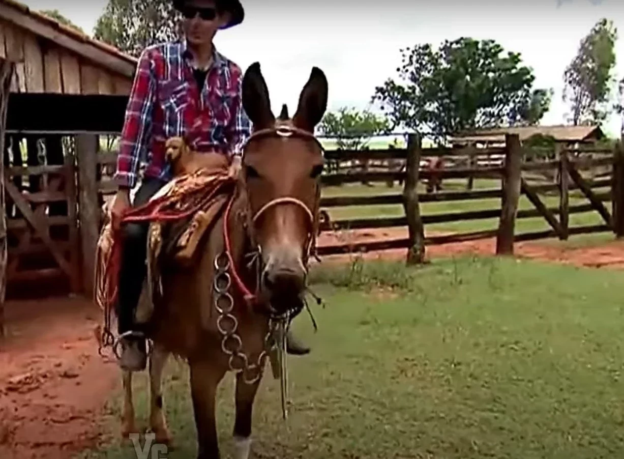Ex-pedreiro, ganhador da Mega-Sena compra fazenda milionária. Fotos! - imagem 47547
