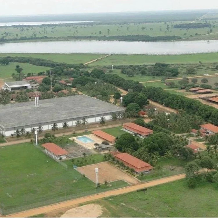 Conheça a fazenda luxuosa com 200 mil gados à venda por R$ 5 bilhões - imagem 47773