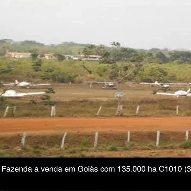 Conheça a fazenda luxuosa com 200 mil gados à venda por R$ 5 bilhões - imagem 47770