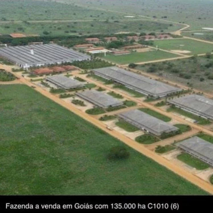 Conheça a fazenda luxuosa com 200 mil gados à venda por R$ 5 bilhões - imagem 47771