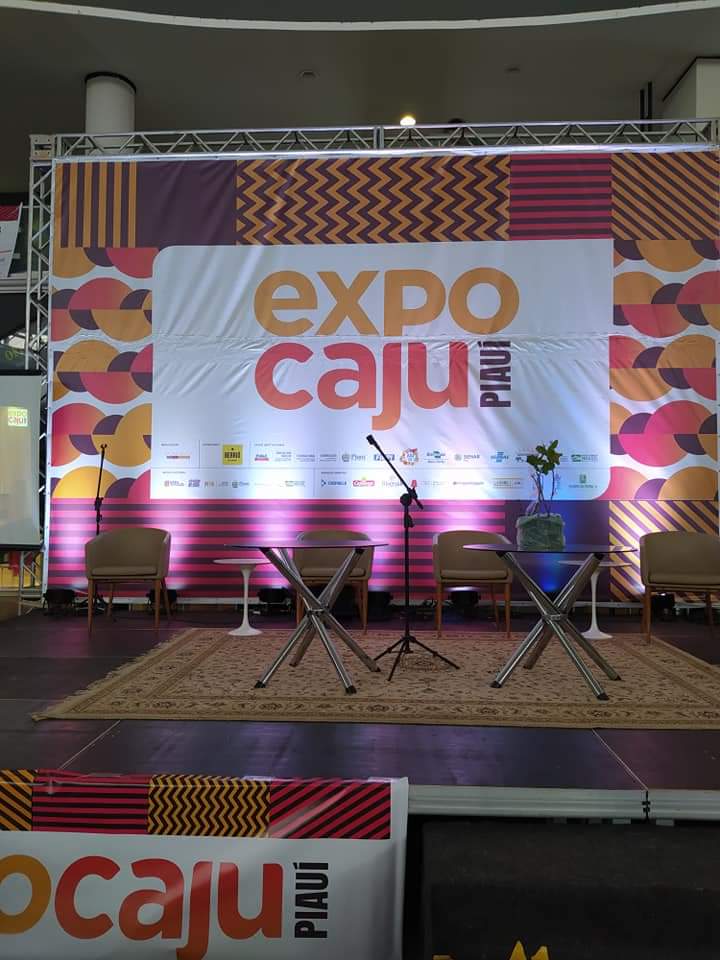 Governador Wellington Dias visita stand de Monsenhor Gil na Expocaju - Imagem 6