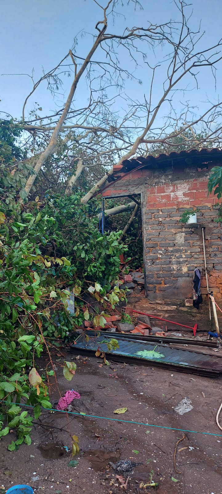 Forte vendaval causa danos em Monsenhor Gil nesta tarde de segunda feira - Imagem 8